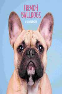FRENCH BULLDOGS MINI SQUARE WALL CALENDA