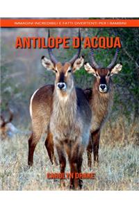 Antilope d'acqua
