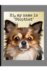 Hi, My Name Is 