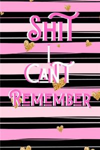 Shit I Can't Remember