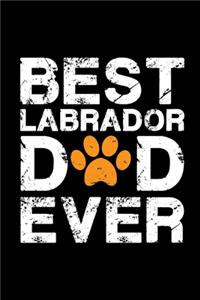 Best Labrador dad ever
