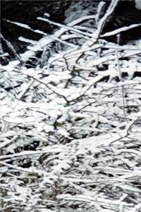 2020 Weekly Planner Winter Theme Snow Covered Branches 134 Pages