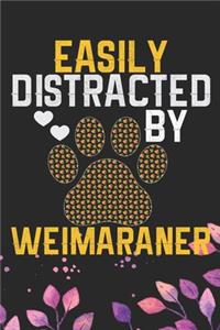 Easily Distracted by Weimaraner