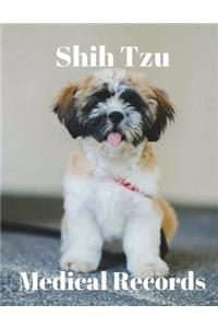 Shih Tzu Medical Records