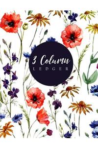 3 Column Ledger