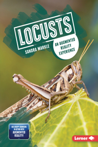 Locusts