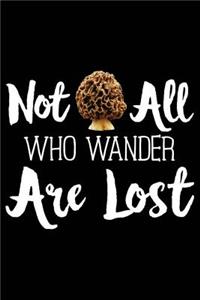 Not All Who Wander Are Lost