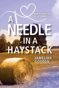 Needle in a Haystack