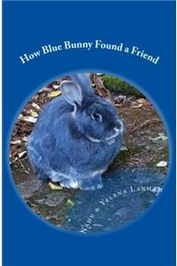 How Blue Bunny Found a Friend