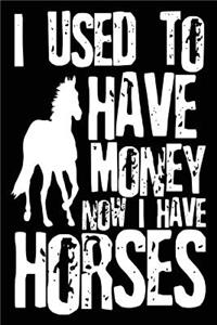 I Used to Have Money Now I Have Horses