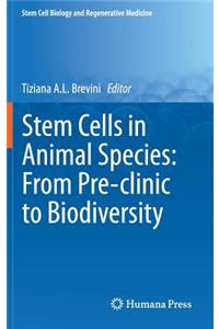 Stem Cells in Animal Species: From Pre-Clinic to Biodiversity