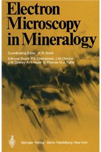 Electron Microscopy in Mineralogy