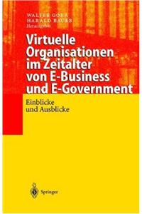 Virtuelle Organisationen Im Zeitalter Von E-Business Und E-Government