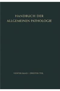 Der Stoffwechsel II