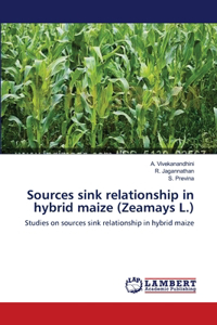 Sources sink relationship in hybrid maize (Zeamays L.)