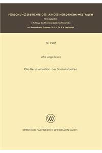 Die Berufssituation der Sozialarbeiter