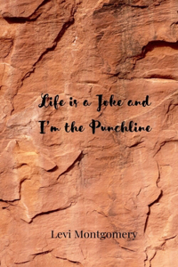 Life is a Joke and I'm the Punchline
