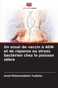 essai de vaccin à ADN et de réponse au stress bactérien chez le poisson zèbre