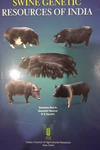 Swine Genetics - Resources of India