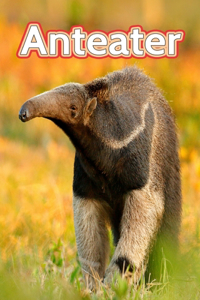 Anteater