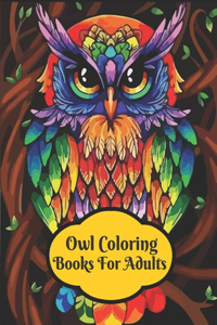 owl coloring books for adults