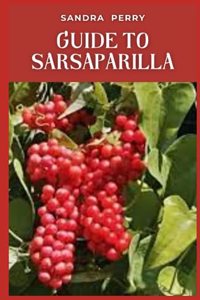 Guide to Sarsaparilla