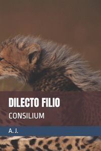 Dilecto Filio: Consilium