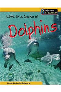 Life in a School of Dolphins