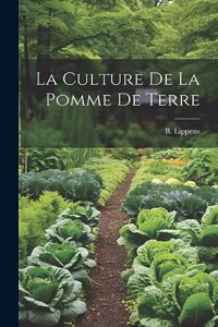 culture de la pomme de terre