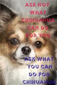 Ask Not What Chihuahua Can Do for You Ask What You Can Do for Chihuahua