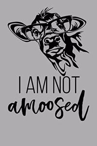 I Am Not Amoosed
