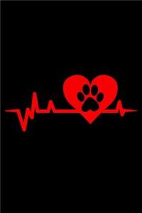 Cat paws heartbeat