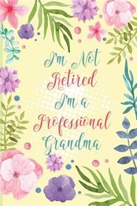 I'm Not Retired I'm a Professional Grandma