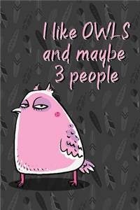 I Like Owls and Maybe 3 People: Funny Journal for People Who Love Owls - Humorous Diary or Notebook for Owl Fanatics - Gift for Coworker Friend - 6x9 with 120 Journal-Lined Pages