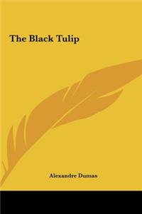 Black Tulip