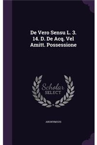 De Vero Sensu L. 3. 14. D. De Acq. Vel Amitt. Possessione