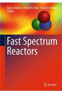 Fast Spectrum Reactors