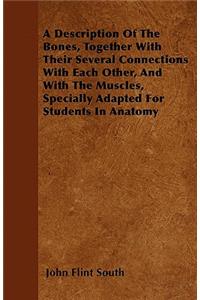 A Description Of The Bones, Together With Their Several Connections With Each Other, And With The Muscles, Specially Adapted For Students In Anatomy