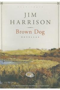 Brown Dog