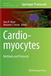 Cardiomyocytes