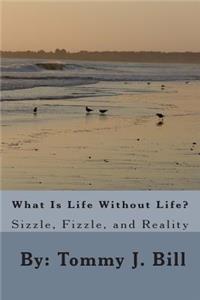 What Is Life Without Life