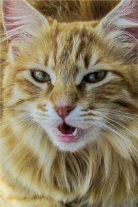 Wake Up and Feed Me, Says the Cat Journal: 150 Page Lined Notebook/Diary