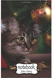 Notebook Journal Dot-grid, Graph, Lined, Blank, No Lined - Christmas Cat: Small Pocket Notebook / Journal / Diary