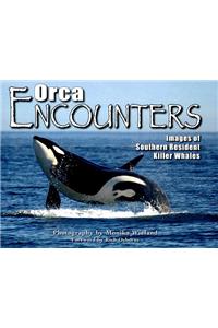 Orca Encounters