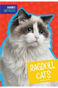 Ragdoll Cats