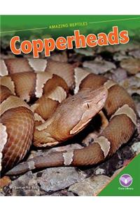 Copperheads