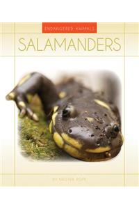 Salamanders