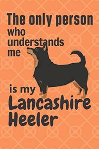 only person who understands me is my Lancashire Heeler