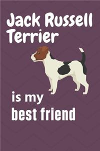 Jack Russell Terrier is my best friend
