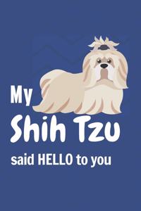 My Shih Tzu said HELLO to you